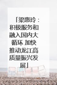 梁惠玲：积极服务和融入国内大循环 加快推动龙江高质量振兴发展