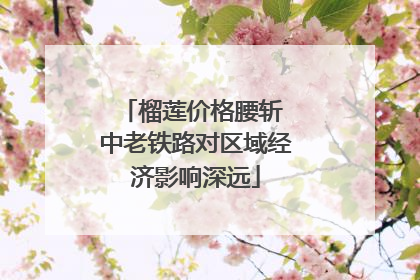 榴莲价格腰斩 中老铁路对区域经济影响深远