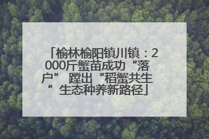榆林榆阳镇川镇：2000斤蟹苗成功“落户” 蹚出“稻蟹共生”生态种养新路径
