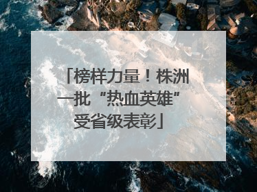 榜样力量！株洲一批“热血英雄”受省级表彰