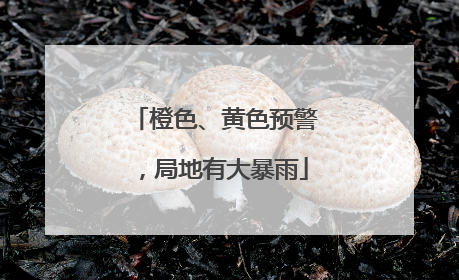 橙色、黄色预警，局地有大暴雨