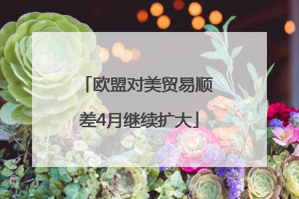 欧盟对美贸易顺差4月继续扩大