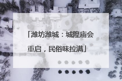 潍坊潍城：城隍庙会重启，民俗味拉满