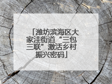 潍坊滨海区大家洼街道“三包三联”激活乡村振兴密码