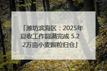 潍坊滨海区：2025年夏收工作圆满完成 5.22万亩小麦颗粒归仓