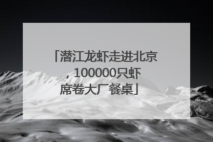 潜江龙虾走进北京，100000只虾席卷大厂餐桌