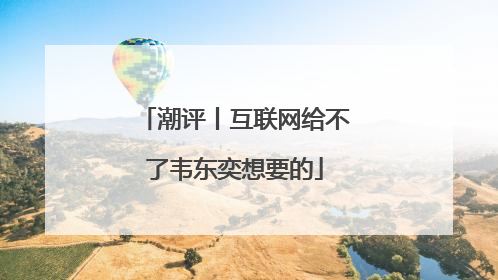 潮评丨互联网给不了韦东奕想要的