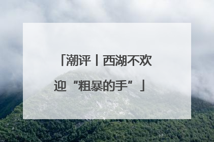 潮评丨西湖不欢迎“粗暴的手”