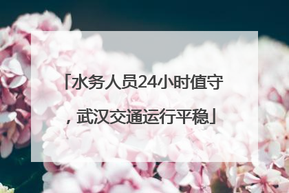 水务人员24小时值守，武汉交通运行平稳