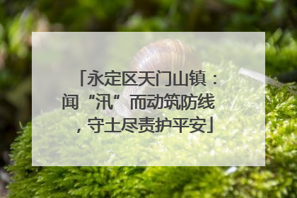 永定区天门山镇：闻“汛”而动筑防线，守土尽责护平安