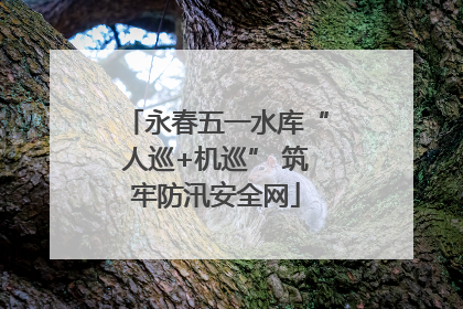 永春五一水库“人巡+机巡” 筑牢防汛安全网