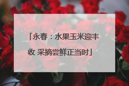 永春：水果玉米迎丰收 采摘尝鲜正当时