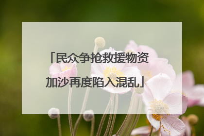 民众争抢救援物资 加沙再度陷入混乱