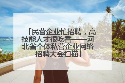 民营企业忙招聘，高技能人才很吃香——河北省个体私营企业网络招聘大会扫描