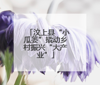 汶上县“小瓜蒌”撬动乡村振兴“大产业”