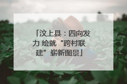 汶上县：四向发力 绘就“跨村联建”崭新图景