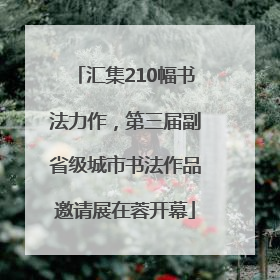 汇集210幅书法力作，第三届副省级城市书法作品邀请展在蓉开幕