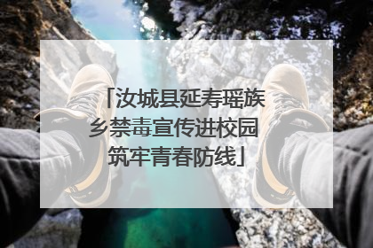 汝城县延寿瑶族乡禁毒宣传进校园 筑牢青春防线
