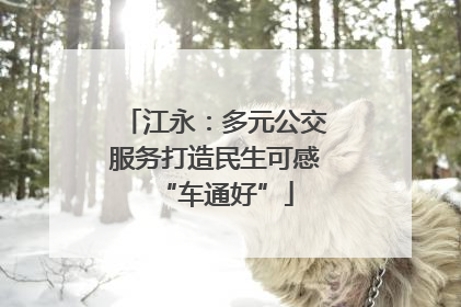 江永：多元公交服务打造民生可感“车通好”