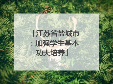 江苏省盐城市：加强学生基本功夫培养