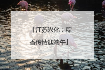 江苏兴化：粽香传情迎端午