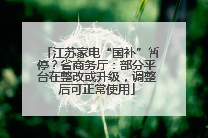 江苏家电“国补”暂停？省商务厅：部分平台在整改或升级，调整后可正常使用