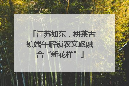 江苏如东：栟茶古镇端午解锁农文旅融合“新花样”