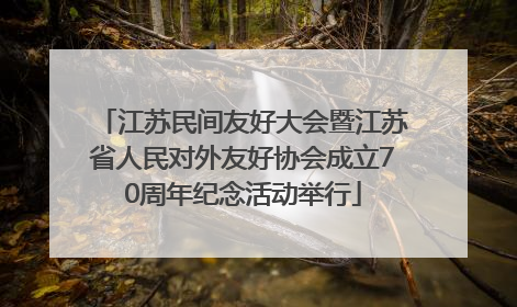 江苏民间友好大会暨江苏省人民对外友好协会成立70周年纪念活动举行