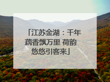 江苏金湖：千年藕香飘万里 荷韵悠悠引客来