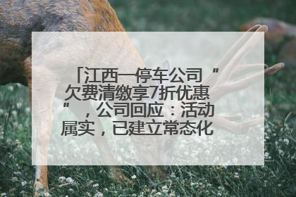江西一停车公司“欠费清缴享7折优惠”，公司回应：活动属实，已建立常态化诉讼追缴机制