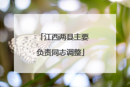 江西两县主要负责同志调整