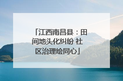 江西南昌县：田间地头化纠纷 社区治理绘同心