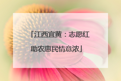 江西宜黄：志愿红助农惠民情意浓