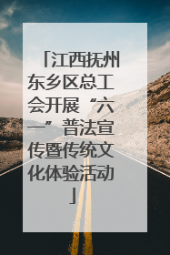 江西抚州东乡区总工会开展“六一”普法宣传暨传统文化体验活动
