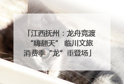 江西抚州：龙舟竞渡“嗨翻天” 临川文旅消费季“龙”重登场