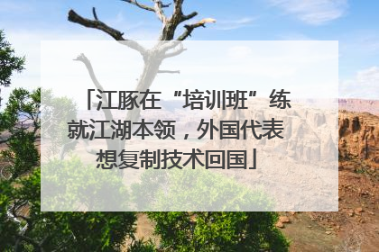 江豚在“培训班”练就江湖本领，外国代表想复制技术回国