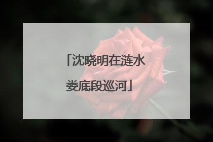 沈晓明在涟水娄底段巡河