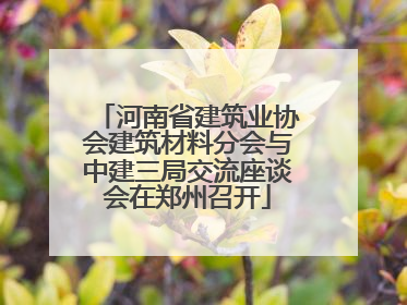 河南省建筑业协会建筑材料分会与中建三局交流座谈会在郑州召开