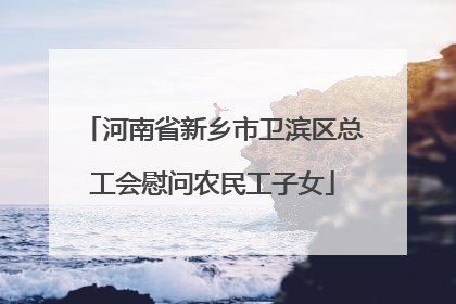 河南省新乡市卫滨区总工会慰问农民工子女