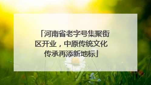 河南省老字号集聚街区开业，中原传统文化传承再添新地标