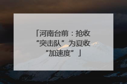 河南台前：抢收“突击队”为夏收“加速度”