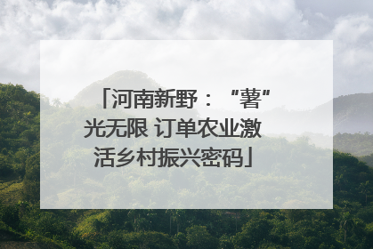 河南新野：“薯”光无限 订单农业激活乡村振兴密码