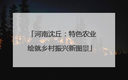 河南沈丘：特色农业绘就乡村振兴新图景