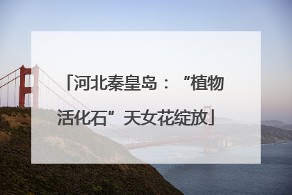 河北秦皇岛：“植物活化石”天女花绽放