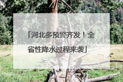 河北多预警齐发！全省性降水过程来袭