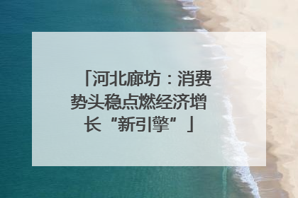 河北廊坊：消费势头稳点燃经济增长“新引擎”
