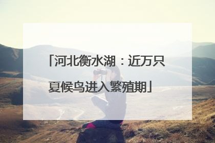 河北衡水湖：近万只夏候鸟进入繁殖期