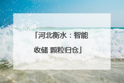 河北衡水：智能收储 颗粒归仓