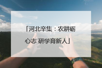 河北辛集：农耕砺心志 研学育新人