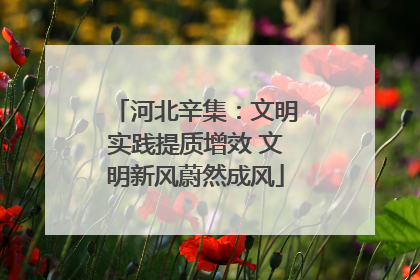 河北辛集：文明实践提质增效 文明新风蔚然成风
